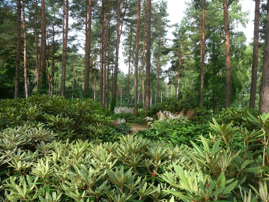 Ботанический сад Вильнюса