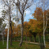 ©Aziz Khalmuradov Ташкент. Парк на Мемориале Памяти жертв репрессий.