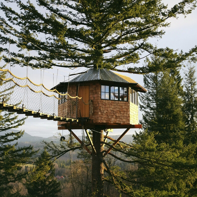Парень построил дом на дереве и навсегда переехал в лес из шумного города: фото о быте дауншифтера из Нью-Йорка