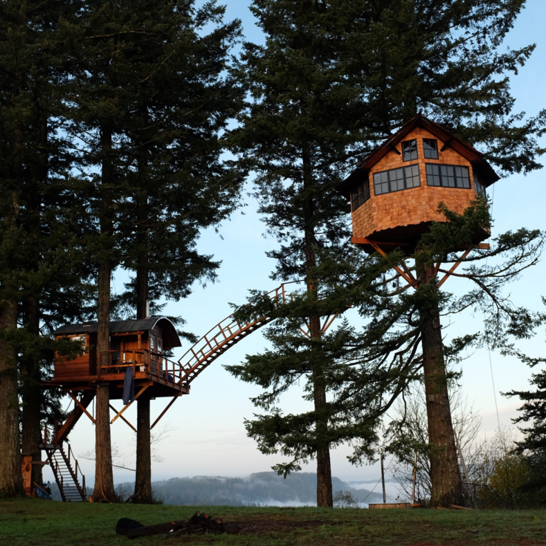 Парень построил дом на дереве и навсегда переехал в лес из шумного города: фото о быте дауншифтера из Нью-Йорка