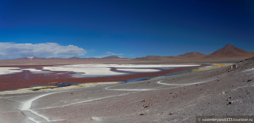 Это Боливия, детка! Лагуны, каньоны и долина камней