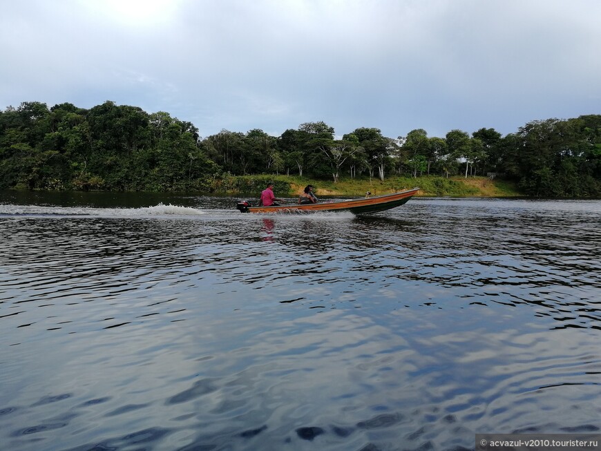«Выживание» в Амазонии. Первый день тура