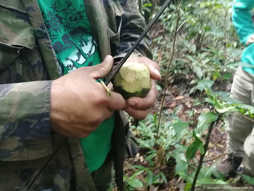 Выживание в Амазонии. Второй день тура