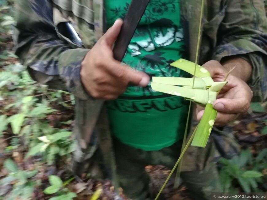 Выживание в Амазонии. Второй день тура