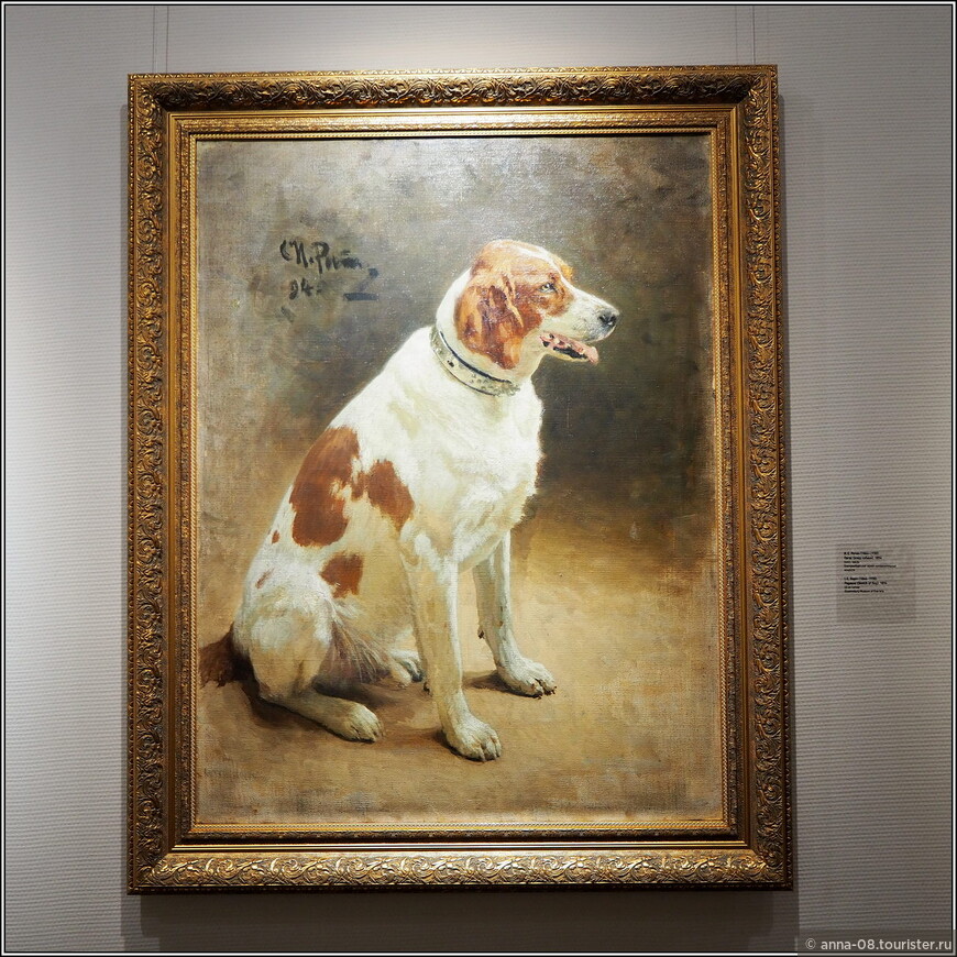 И.Е. Репин «Пегас (этюд собаки)», 1894 г. Екатеринбургский музей изобразительных искусств