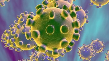 Еврокомиссия объявила высокий уровень риска коронавируса