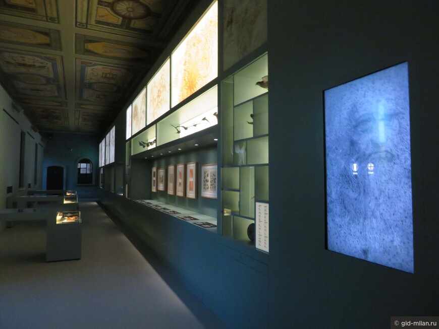 Самая большая в мире экспозиция, посвященная Леонардо да Винчи
