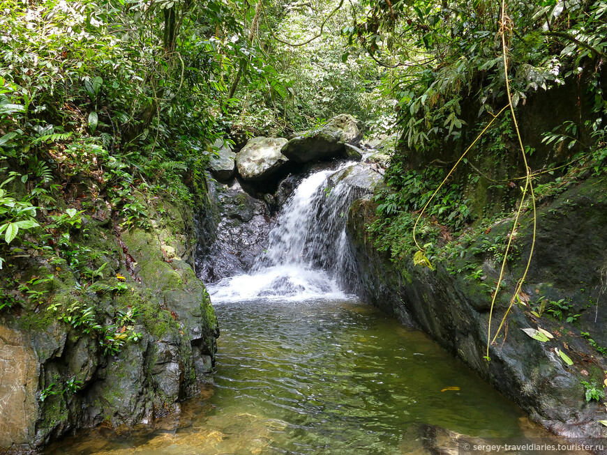 Небольшой водопад в джунглях