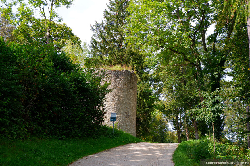 Руины крепости Хонберг