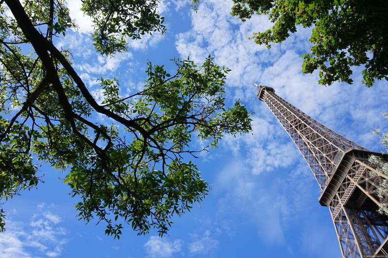 10 удивительных фактов об Эйфелевой башне