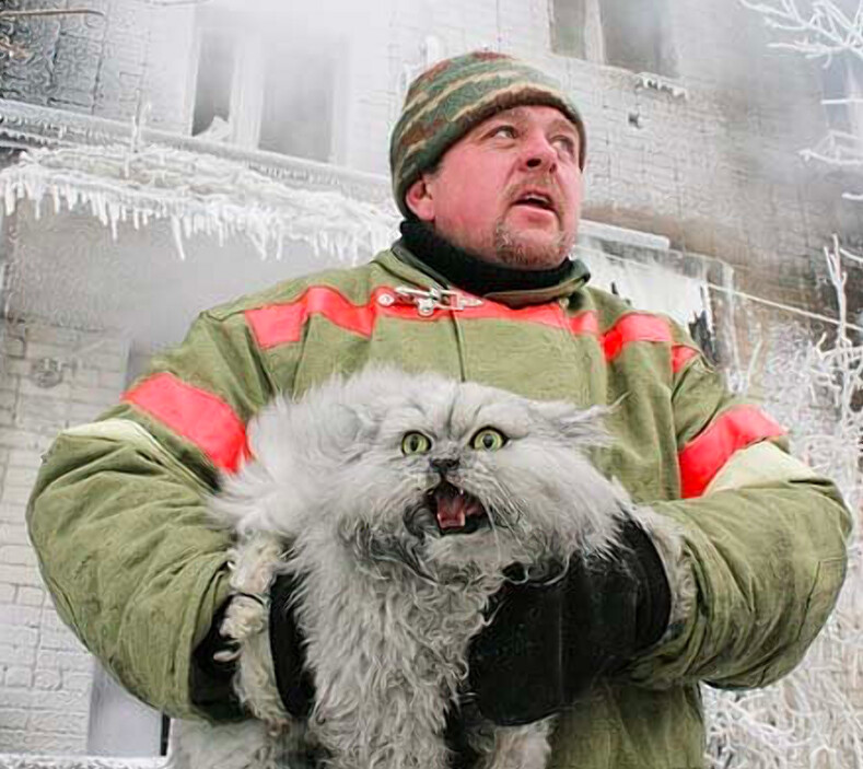 9 храбрых пожарных, которые рисковали своей жизнью ради спасения домашних животных