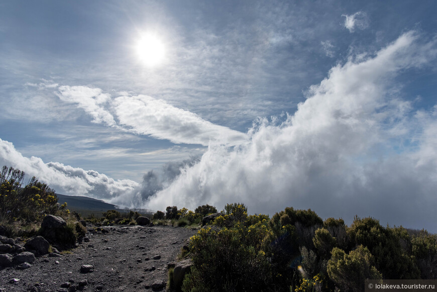 Килиманджаро, там, где облака сливаются со снегом