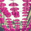 600 розовых зонтиков Patricia Cuna на улицах  мировой столицы духов-Грасс(Grasse)