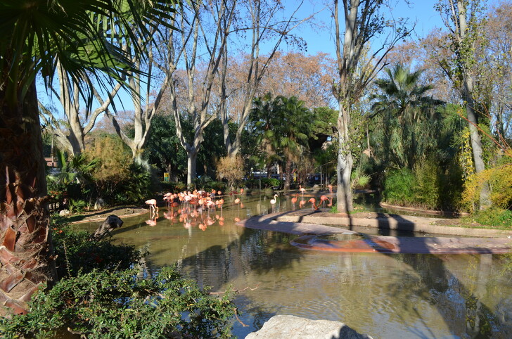 Зоопарк Барселоны