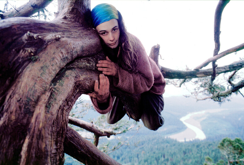 Девушка 738 дней прожила на дереве, чтобы спасти его от уничтожения (поразительная история и фото)