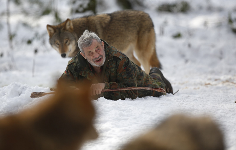 Леденящие душу фото: мужчина 40 лет прожил с волками и был вожаком огромной стаи кровожадных хищников