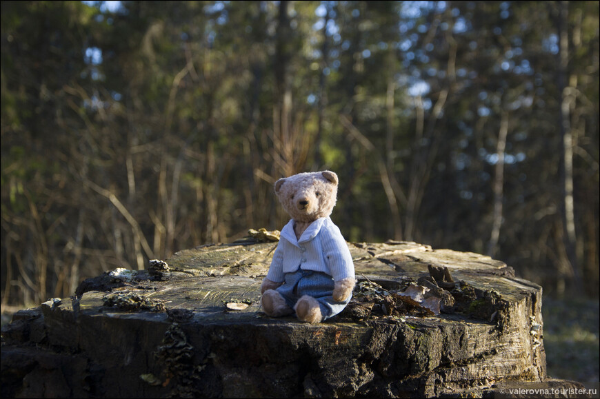 Михаэлю на болоте очень понравилось, ему хотелось встретить медведя. Ну не знаю, так себе желание, ведь что делать, когда он выйдет тебе навстречу? :)