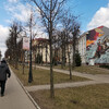 в память о Михаиле Шеине - смоленском воеводе, прославившемуся при обороне города от польских захватчиков в 17 веке великому русскому патриоту - картина-граффити смоленского художника.