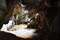 Лабиринтовая пещера