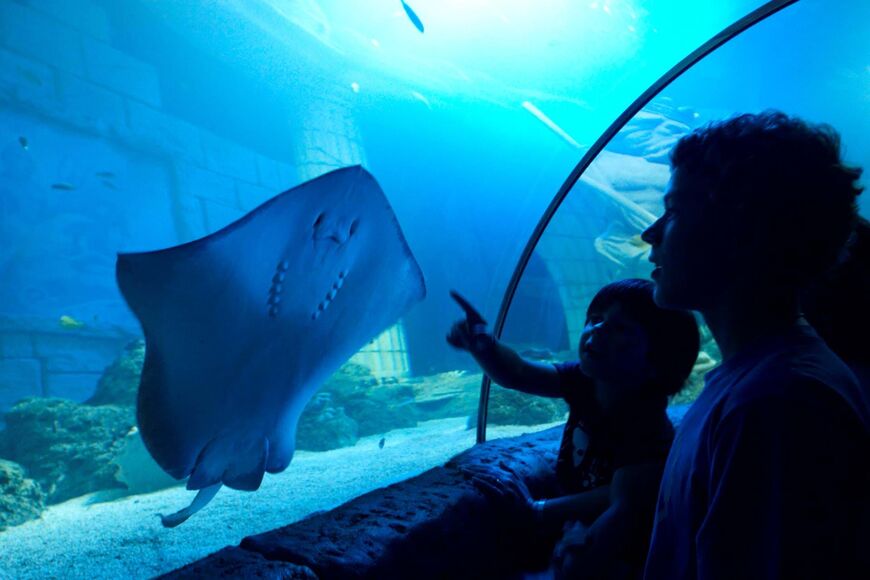 Океанариум «Sea Life» в Порту