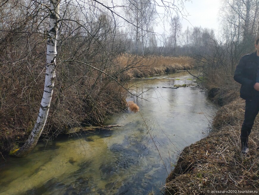 Автопробегом в леса спасаясь от коронавируса или пир во время чумы...