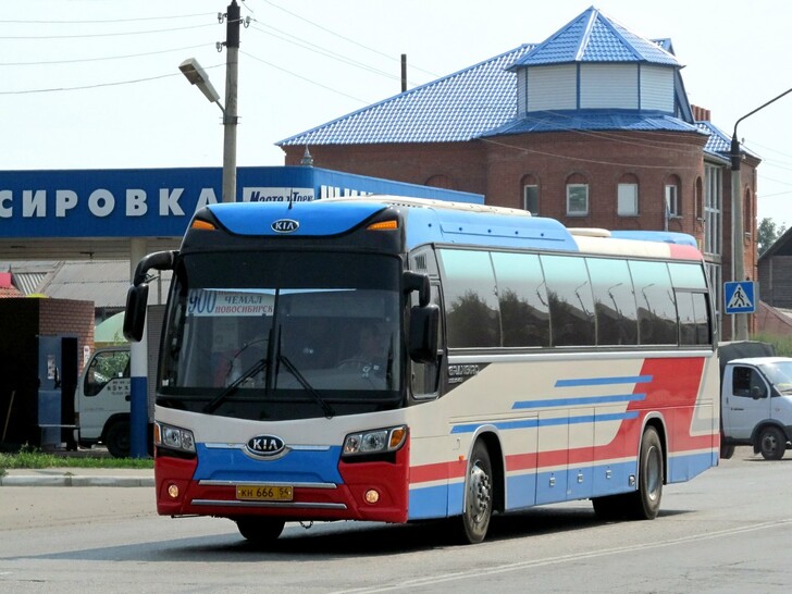Автобус Новосибирск — Чемал