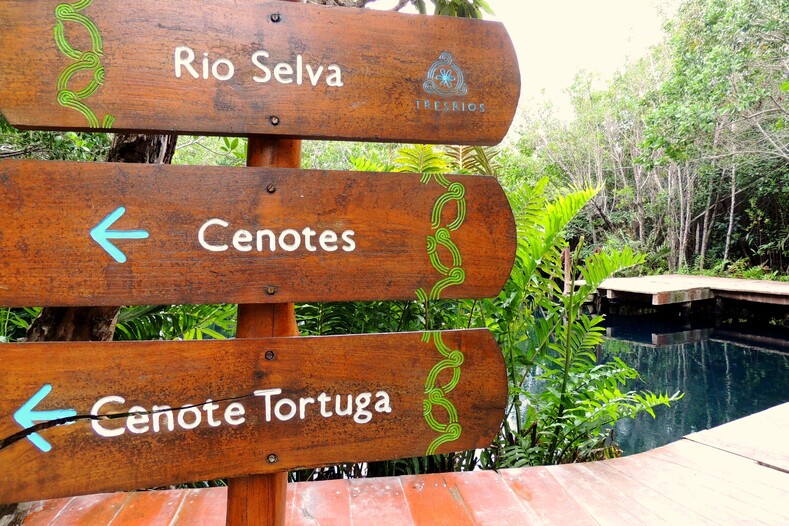 Уникальное природное явление и рай для дайверов: сеноты — удивительные озера Мексики