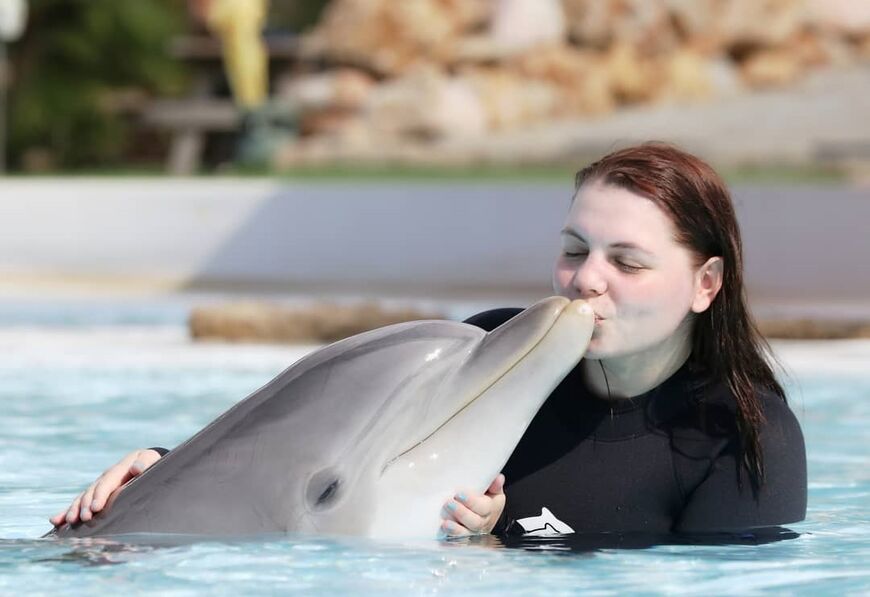 В парке «Zoomarine» с дельфинами можно общаться тет-а-тет