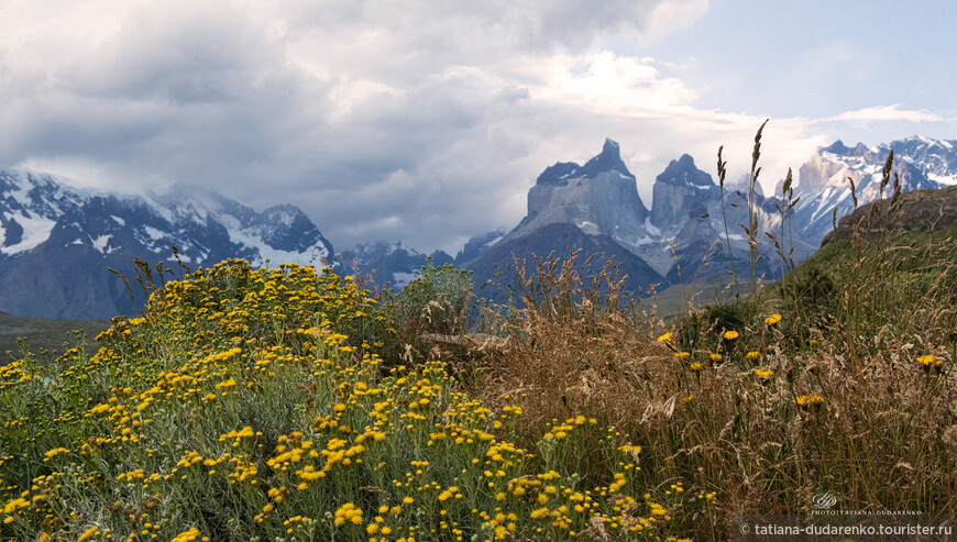 Голубые башни Патагонии. Чили часть 5