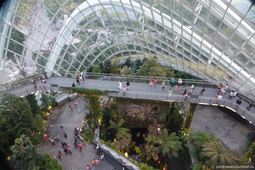 Купольные сады Сингапура