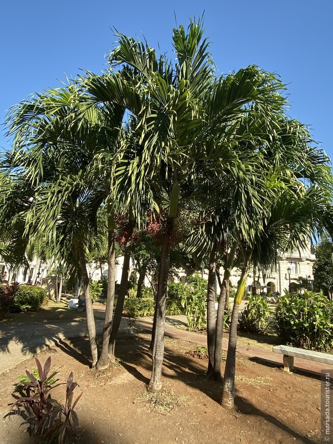 Cuba es La Habana y lo demas es paisaje, часть 2