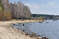Берег Шершневского водохранилища весной