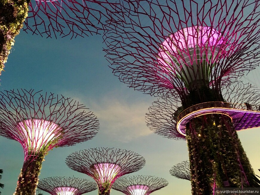 Сады Аватара в Сингапуре