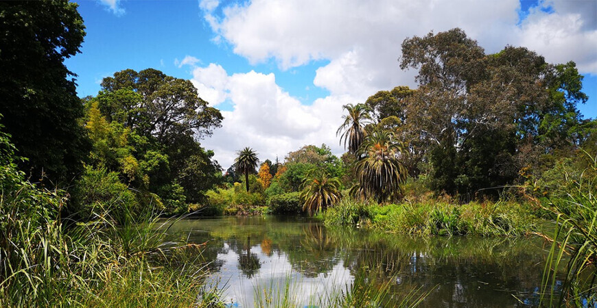 Королевский ботанический сад Мельбурна