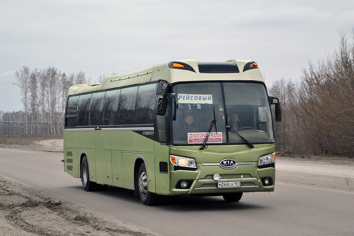 Автобус Ростов-на-Дону — Белгород
