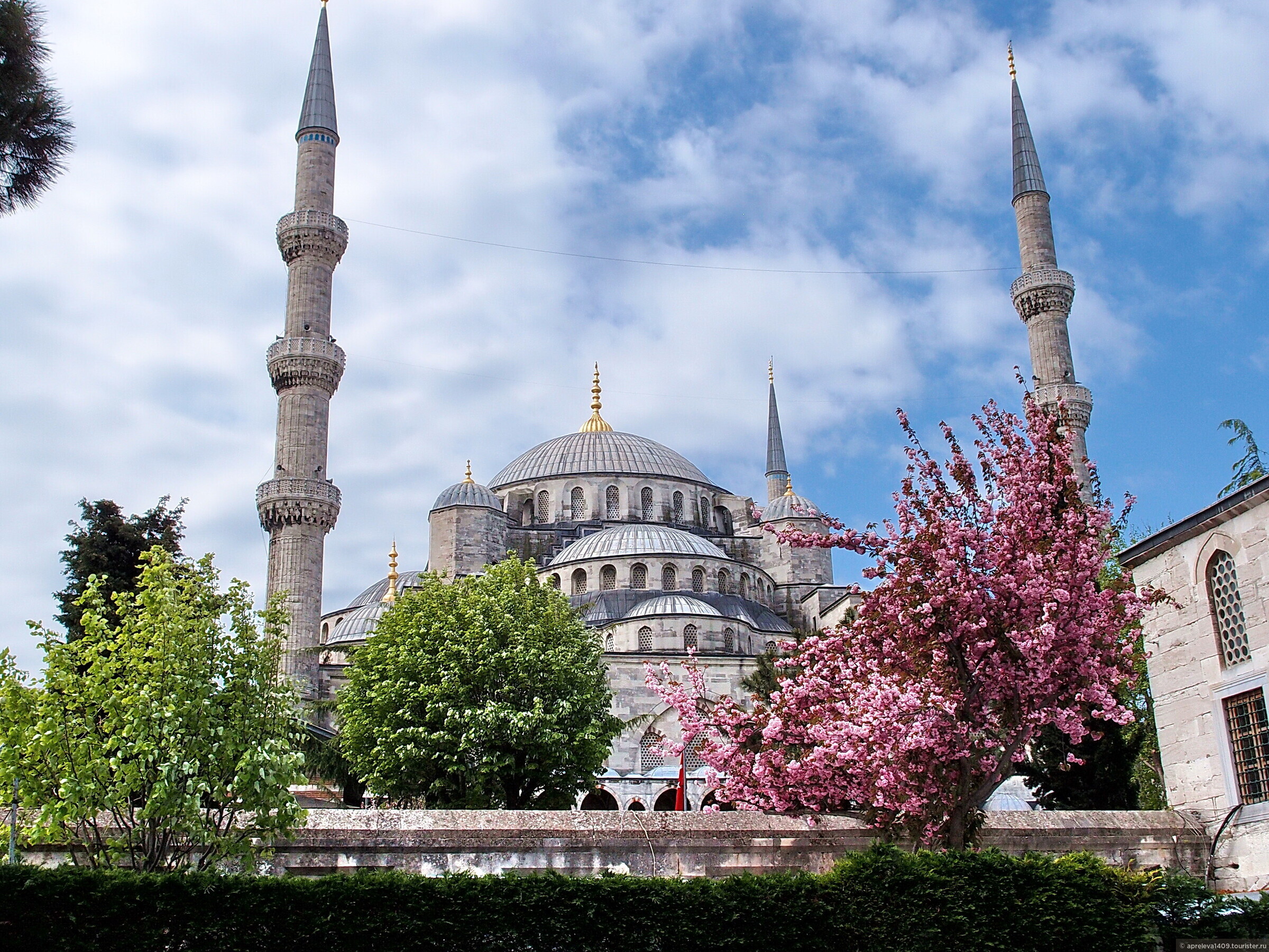 Туры в стамбул в апреле. Султанахмет Стамбул тюльпаны. Мечеть Сулеймание. Стамбул мечеть Магнолия.
