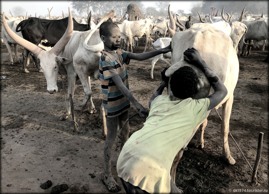 Путешествие в Южный Судан ч.2 — рогатое племя