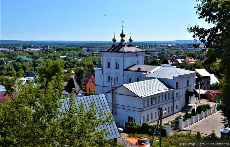 Толстопятая Пенза 