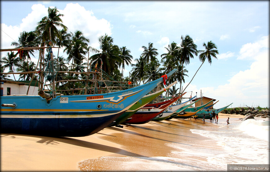 Пляжные зарисовки — Шри-Ланка