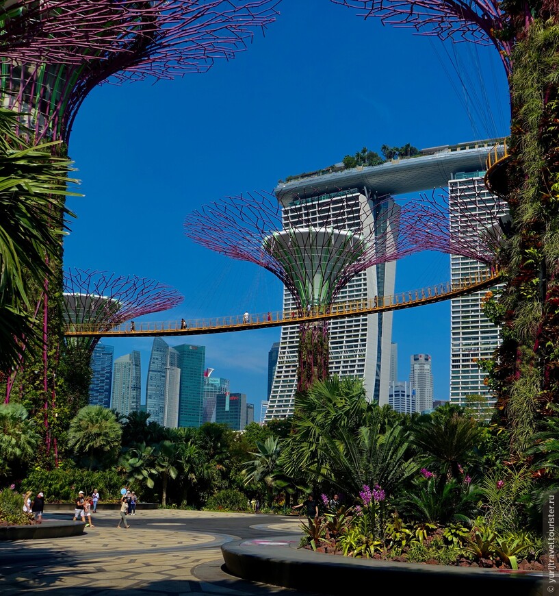 Утренний Сингапур
