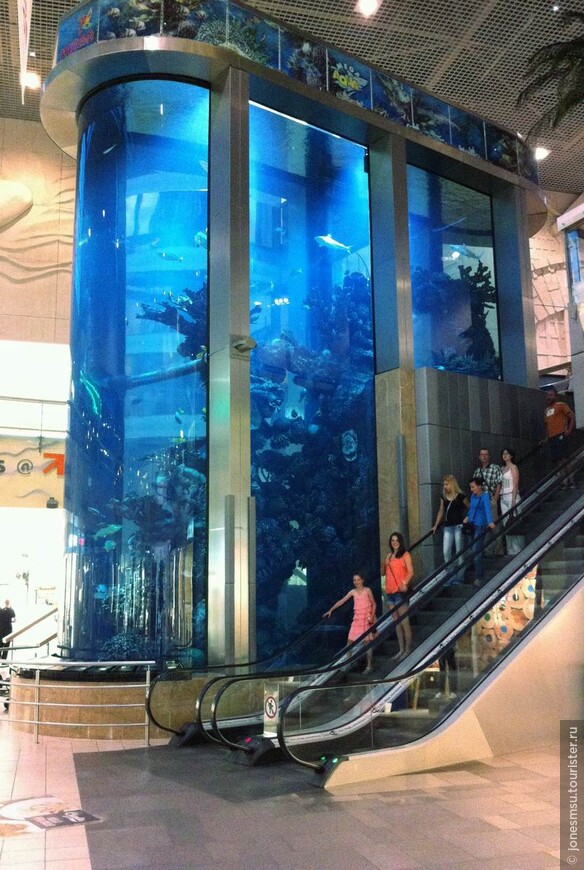 Морской аквариум в МЕГЕ около Каунаса
