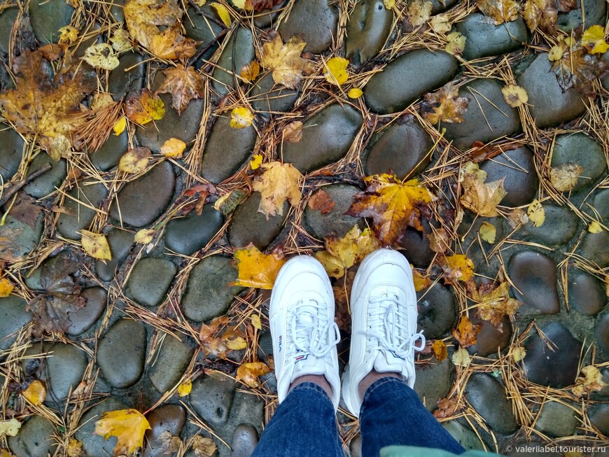 Золотая осень в Латвии