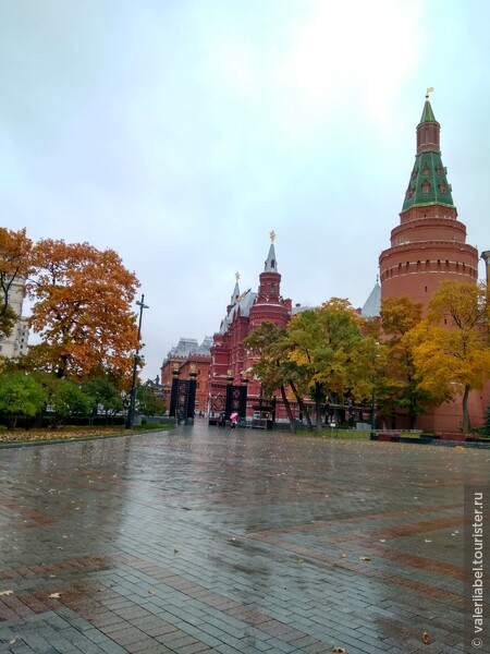 Прогулка по дождливой Москве и фестиваль «Золотая осень»