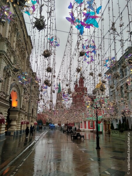 Прогулка по дождливой Москве и фестиваль «Золотая осень»