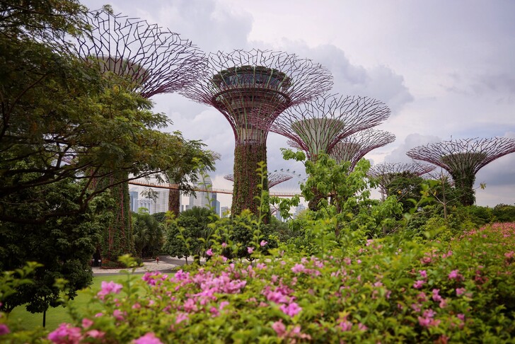 Сколько лететь до Сингапура