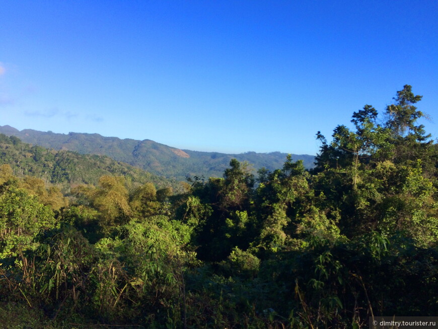 Национальный парк Guanayara. Песни партизан, горы да туман
