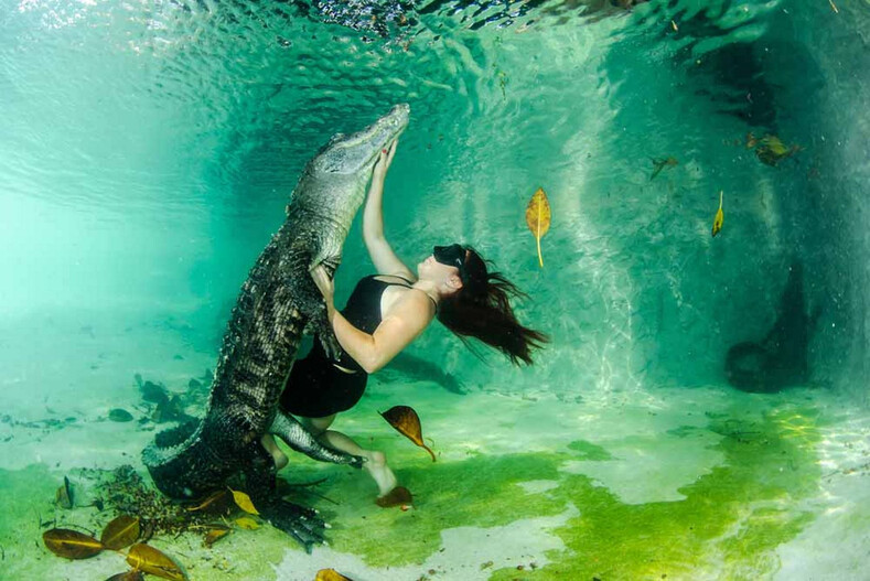 Девушка спасла страшных аллигаторов от гибели и приручила этих 5-метровых хищников (дружба, от которой многие отказались бы)