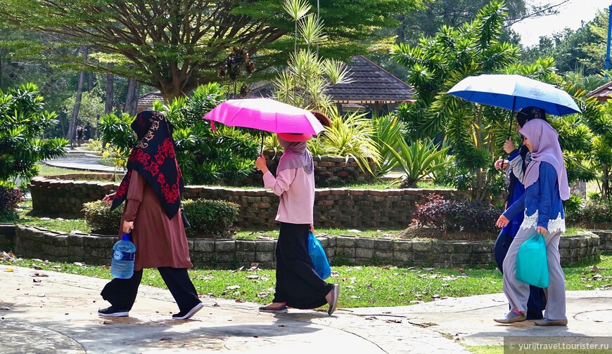 Бруней. Автомобильная прогулка по стране