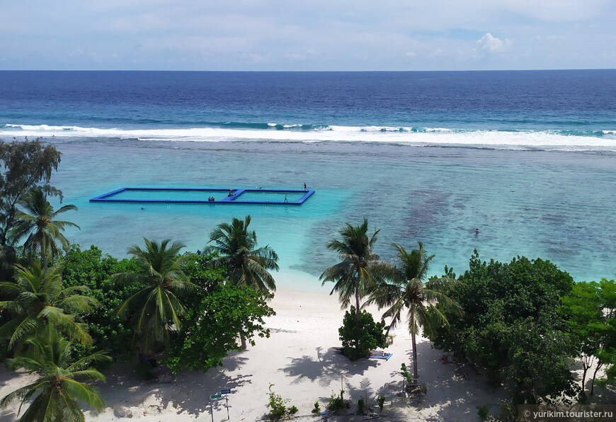 О чудесах, которые случаются. Остров Тодду, Мальдивы. Итого