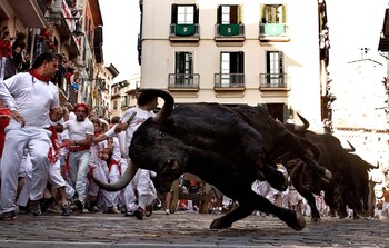 В Испании отменён забег с быками Сан-Фермин 